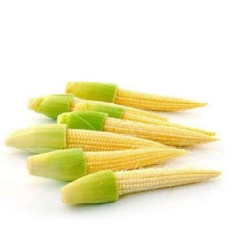 

baby corn jagung muda brayamart
