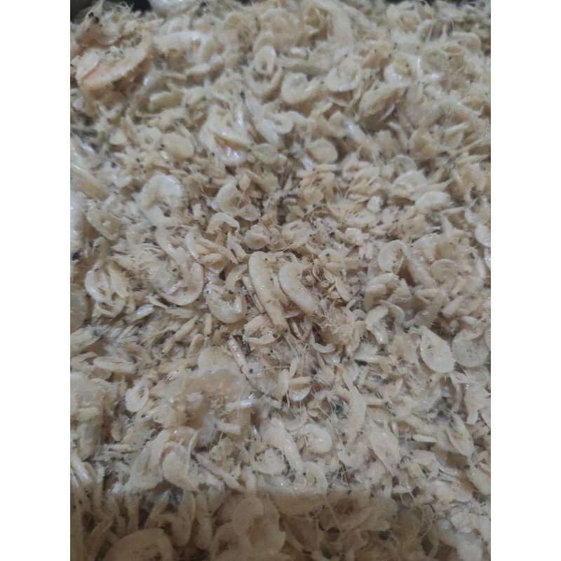 

udang rebon khas bagan siapi api