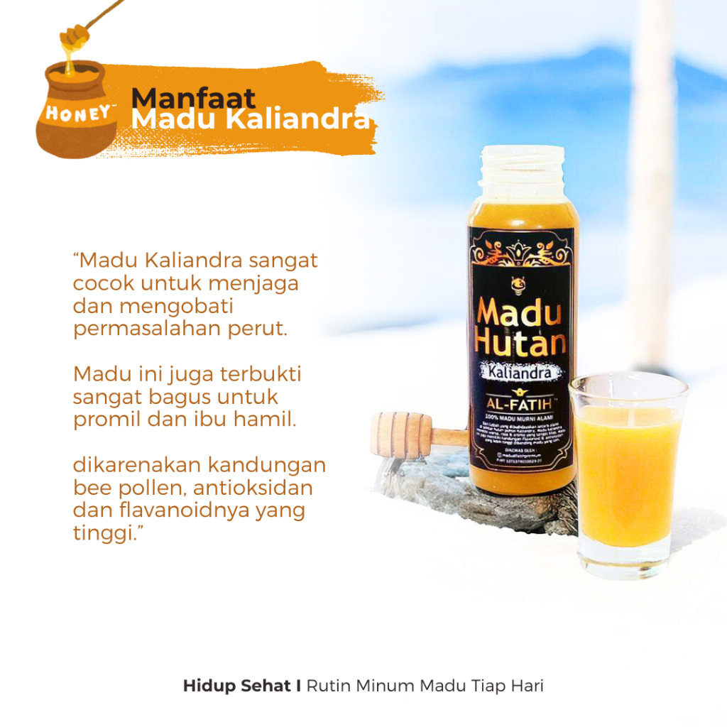 

Madu Hutan Kaliandra Grade A