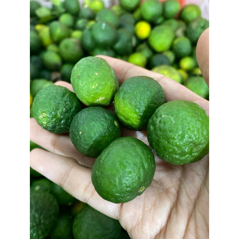 

Jeruk Limau Berat 100 Gram