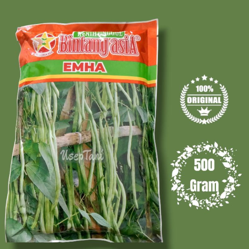 

BENIH BUNCIS F1 EMHA 500 GRAM BINTANG ASIA