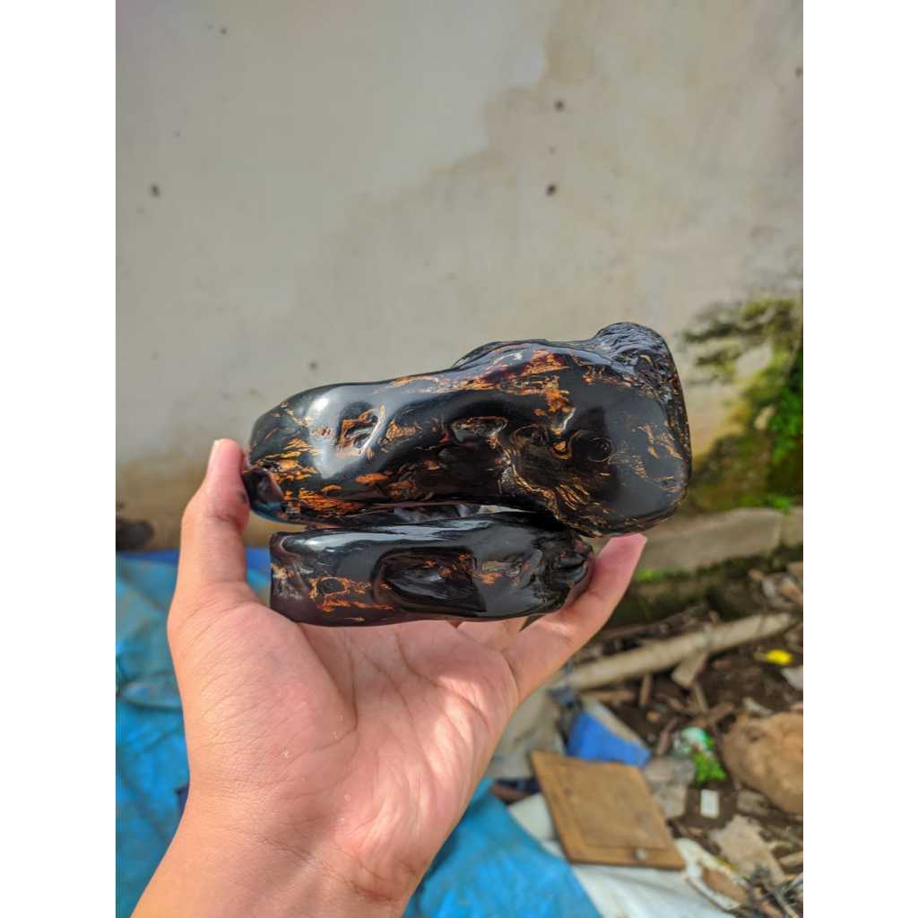 Gelang Akar Bahar Jumbo Kualitas Super Untuk Kolektor