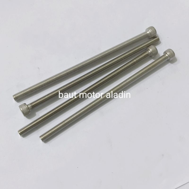 Baut 10/M6x130mm Stainless Kunci L5