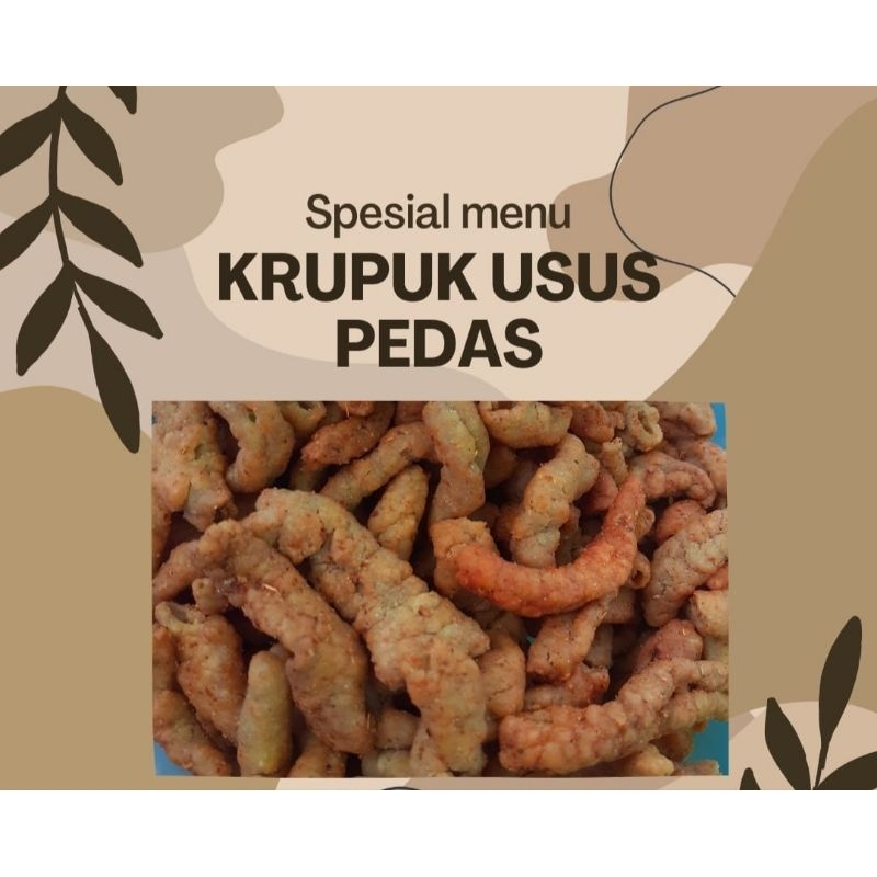 

KRIPIK USUS