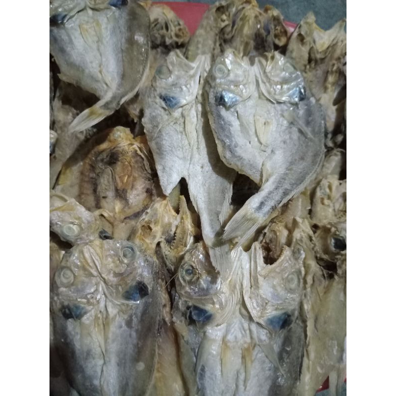 

Ikan Asin Bulama 500 Gram