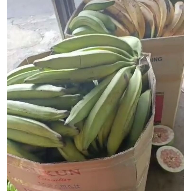 

pisang tanduk per buah