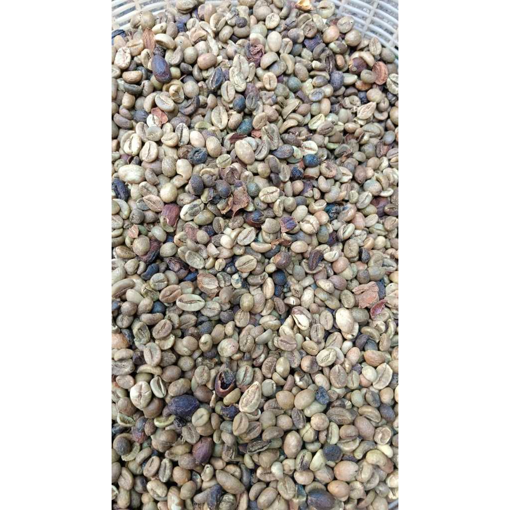 

Kopi Biji/ Green Bean Robusta Asalan Lampung - 1KG