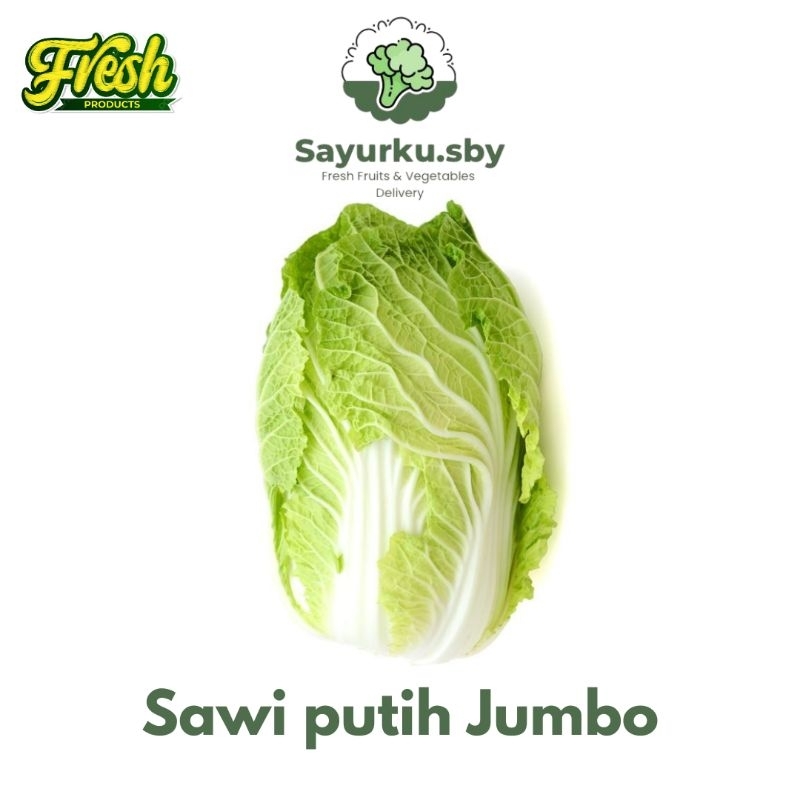 

Sayurku.sby (Bisa kirim instan) Sawi Putih JUMBO FRESH PREMIUM