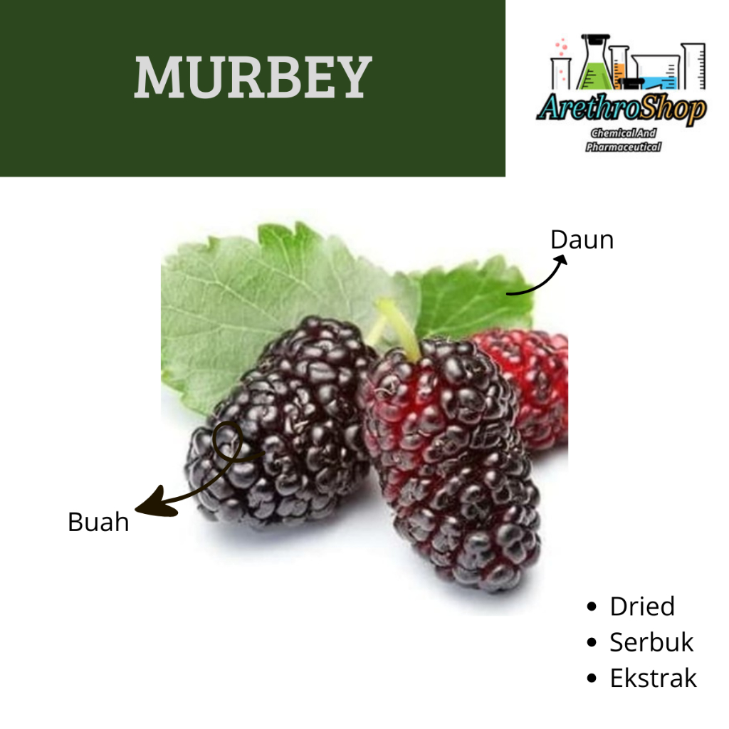 

EKSTRAK BUAH MURBEY 10 GRAM BEST PRODUCT