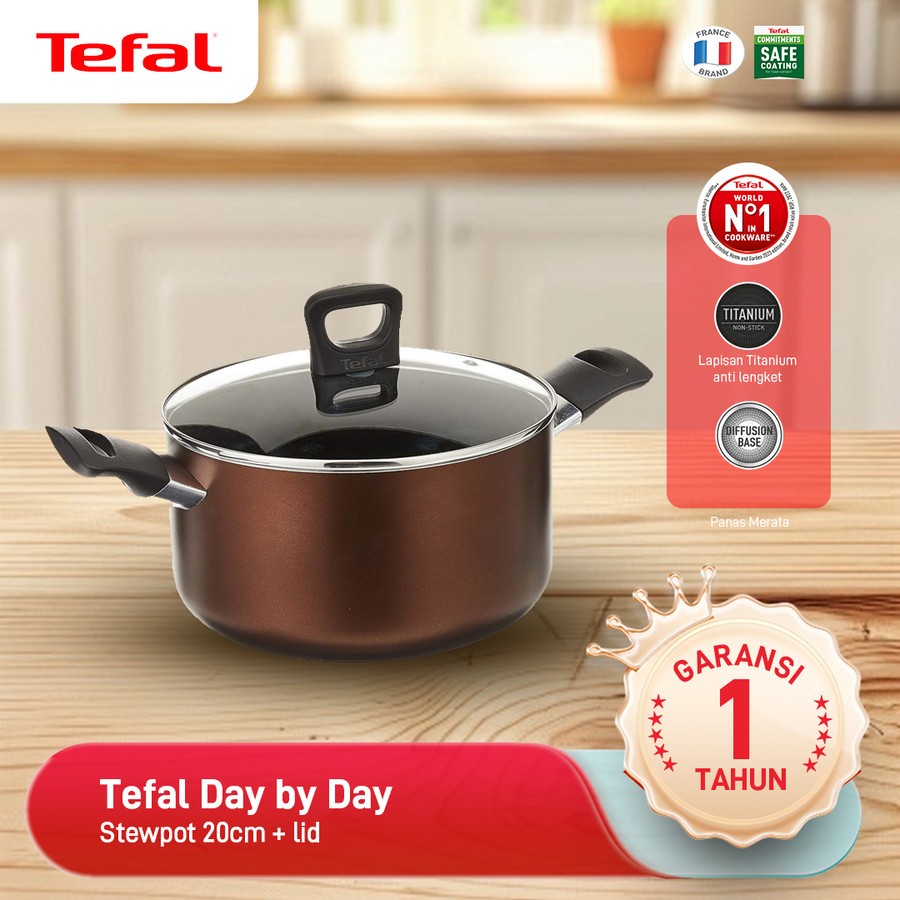 Tefal Day by Day Stewpot 20cm+ lid