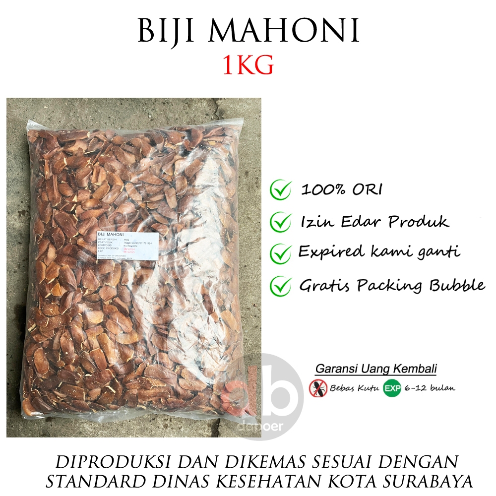 

Biji Buah Mahoni Premium