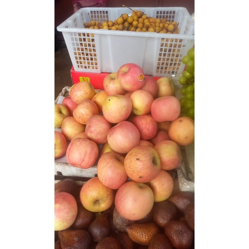 

apel fuji fresh import