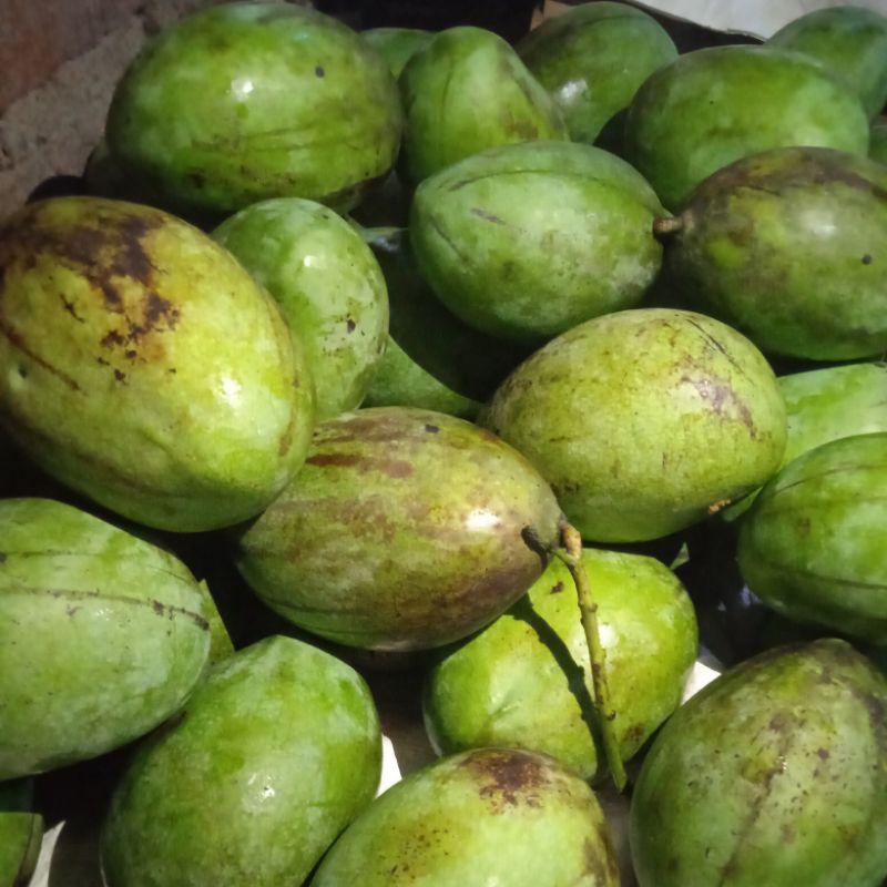 PROMO Buah Mangga Manalagi 1 kg
