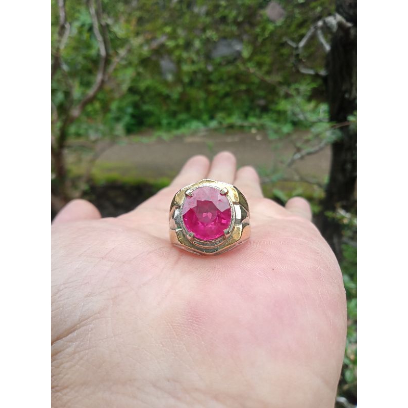 Merah Siam mewah cutting