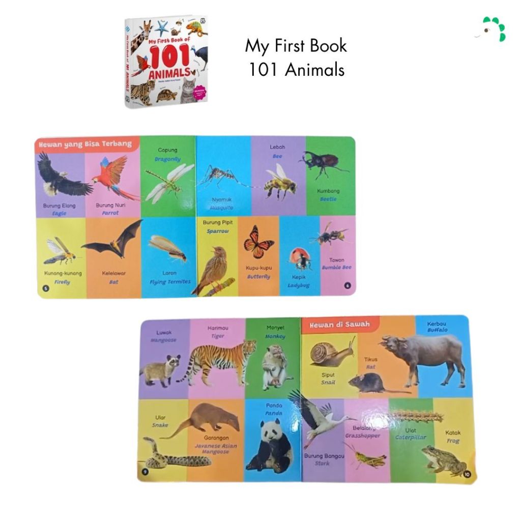 BOARDBOOK My First Book of 101 Fruits & Vegetables/ Animals/ Transport/ Buku Pertama Anak Bentang