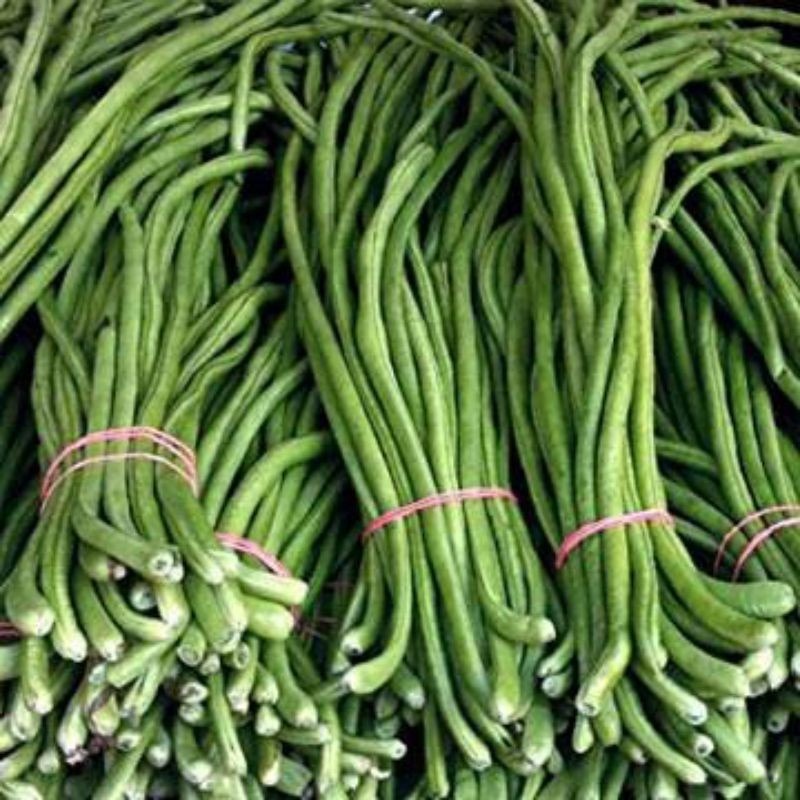 

kacang panjang /1ikat