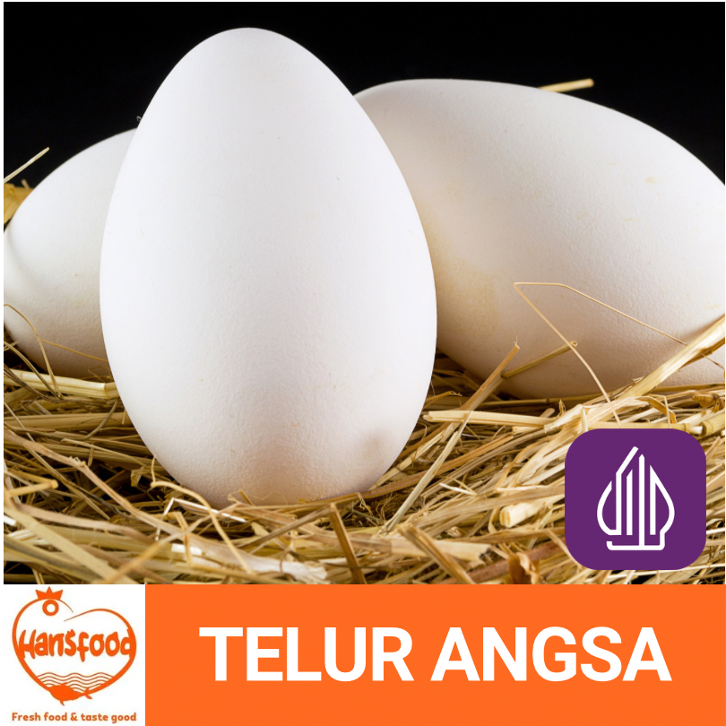 

TELUR ANGSA SEGAR