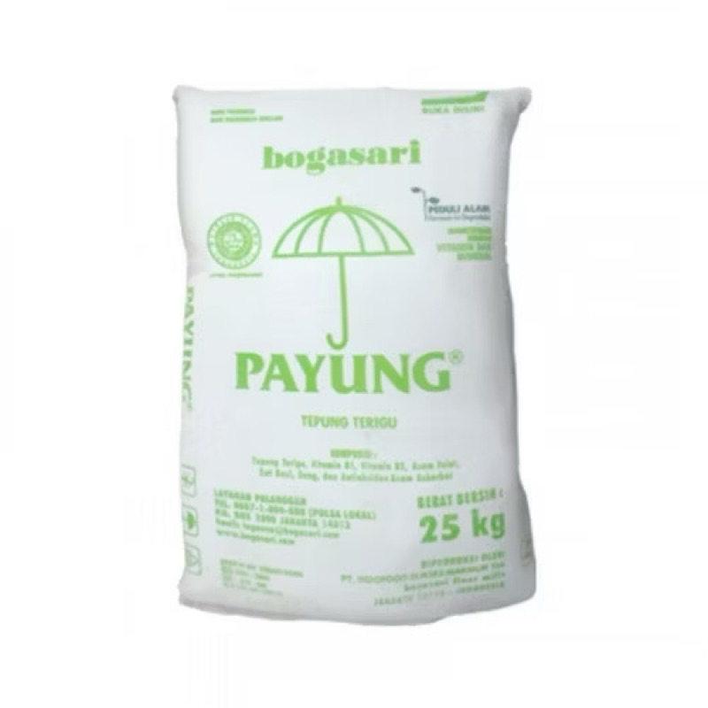

TEPUNG TERIGU PAYUNG 25KG