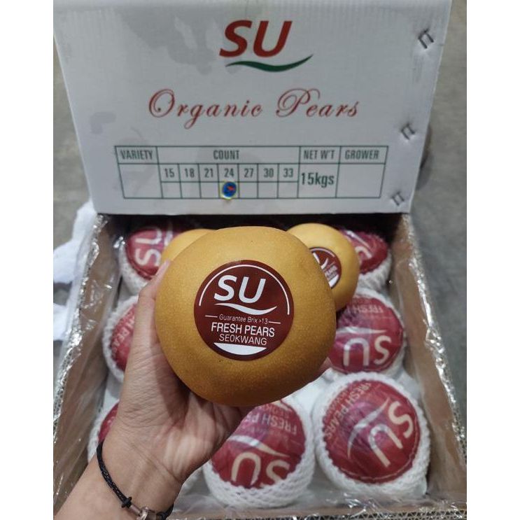 

Pear Singo Korea (PCS)