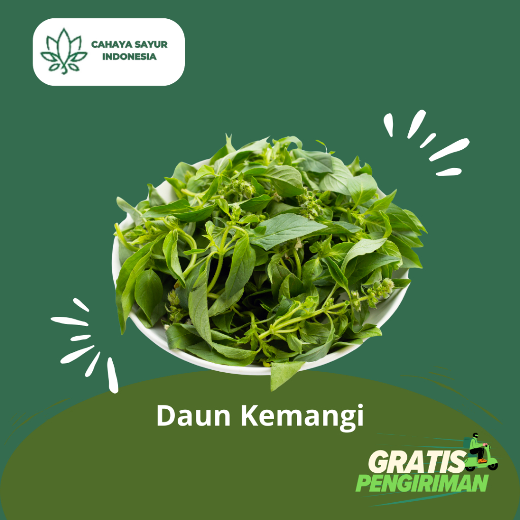 

Daun Kemangi Segar 1Kg + Gratis Ongkir