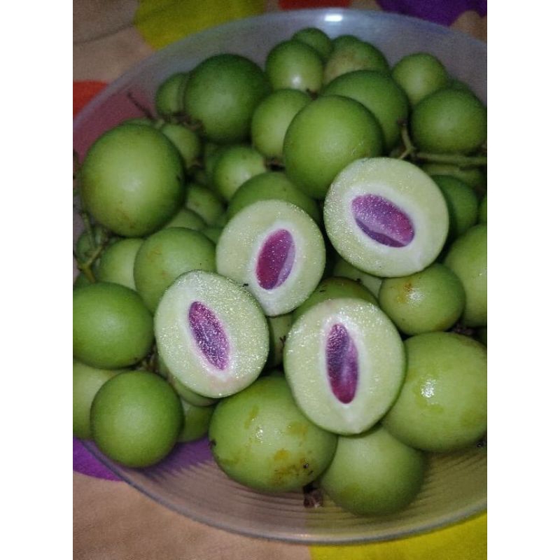 

Buah Gandaria mentah segar