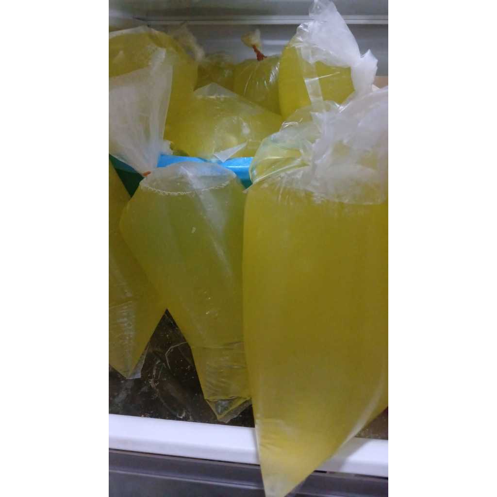 

Putih Telur Mentah FRESH