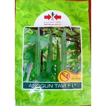 BENIH OYONG ANGGUN TAVI F1 2026