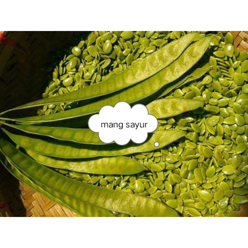 

petai cina selong lamtoro 100gr mang sayur