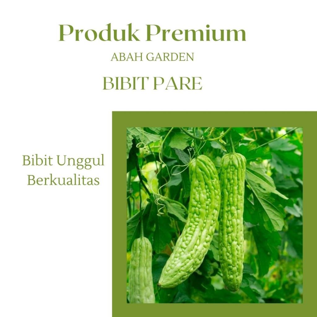 Benih Pare Bibit Sayuran Pare Bibit Unggul F1