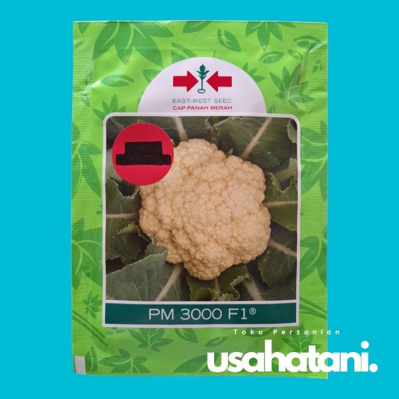 PM3000 ( PM 3000 ) F1 10 Gram Benih Kembang Kol Cap Panah Merah