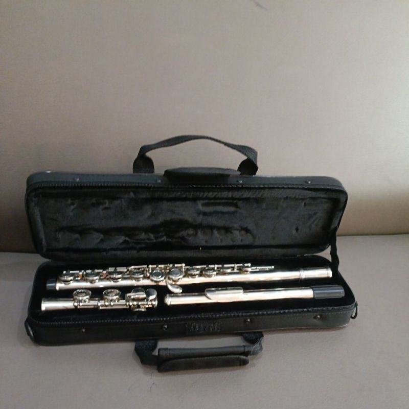 flute merk Paladin silver free hardcase , Closed hole Paladin Original