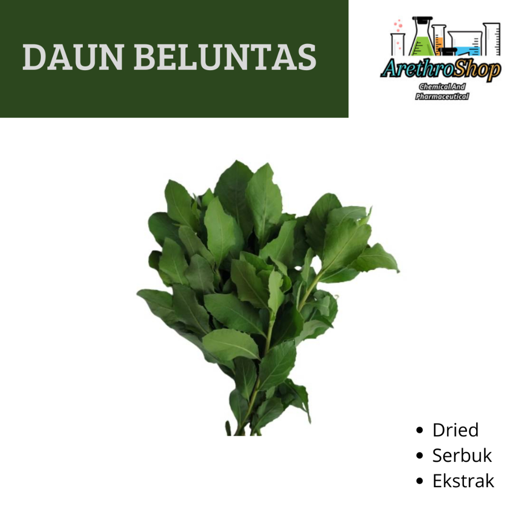 

SERBUK DAN DRIED DAUN BELUNTAS BEST PRODUCT