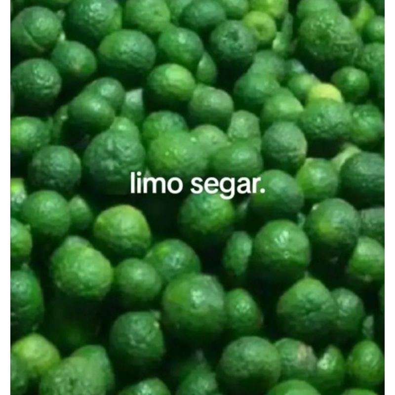 

jeruk limo segar kemasan 1kg