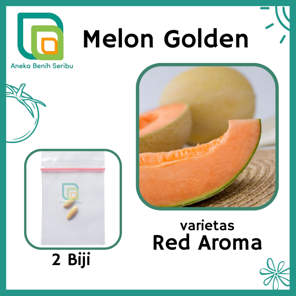 2 Benih Melon Golden Red Aroma - Bibit Tanaman Buah Melon Daging Orange