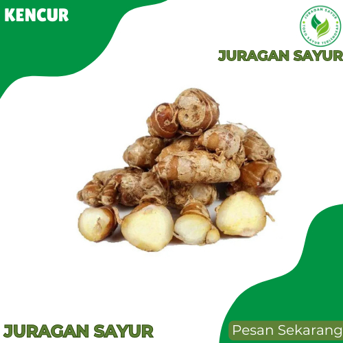 

Juragan Sayur - Kencur 100g