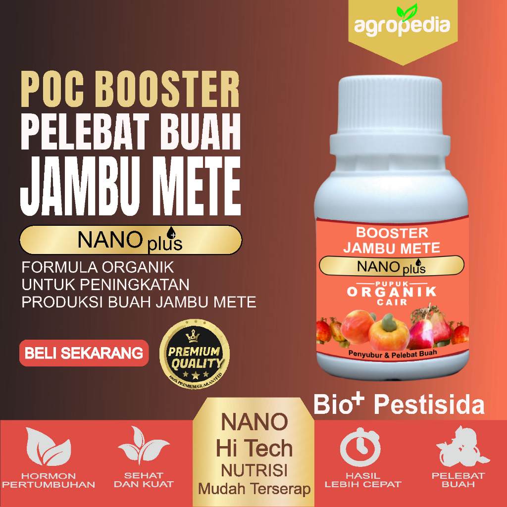 AMINO BOOSTER Pupuk Jambu Mete Cepat Berbuah, Perangsang Buah Jambu Mete, Pupuk Pelebat Jambu Mete, 