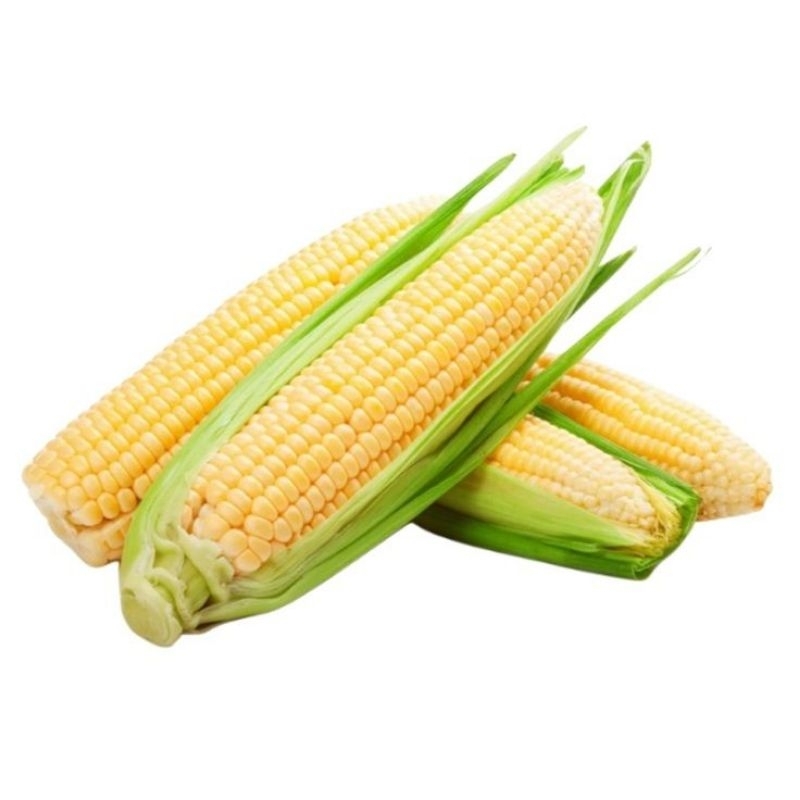 

jagung manis spesial 1kg murah segar aman terpercaya!
