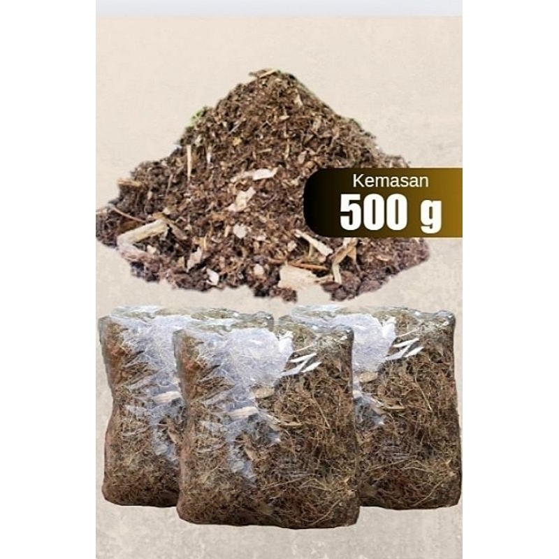 Humus kompos daun bambu kering