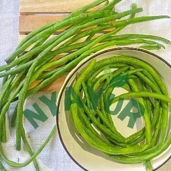 

Kacang Panjang Fresh sayur 250gram