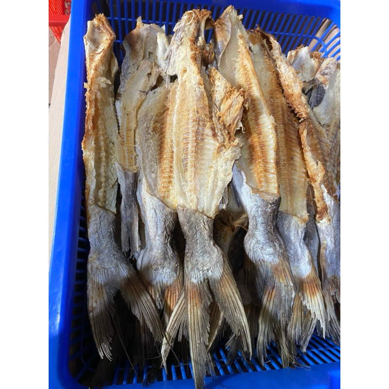 

Ikan JAMBAL ROTI TULANGAN Terbaru Murah Poll!☑️