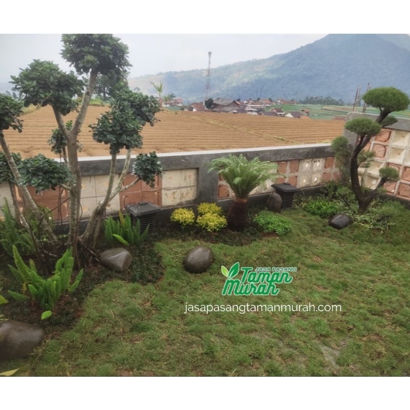jasa taman minimalis - dekorasi taman minimalis - tukang taman