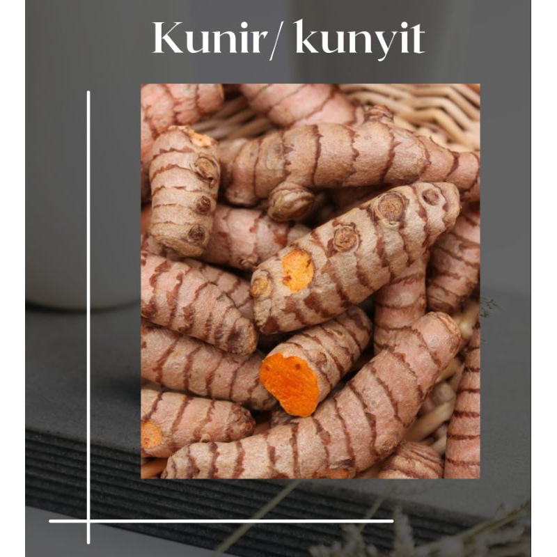 

Kunyit/kunir fresh 500gram