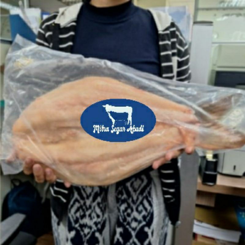 

Ikan Patin Fillet Tanpa duri - SUPER BESAR