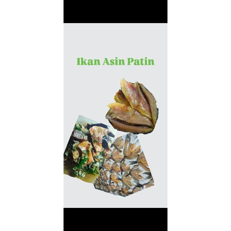 

Ikan Asin Patin