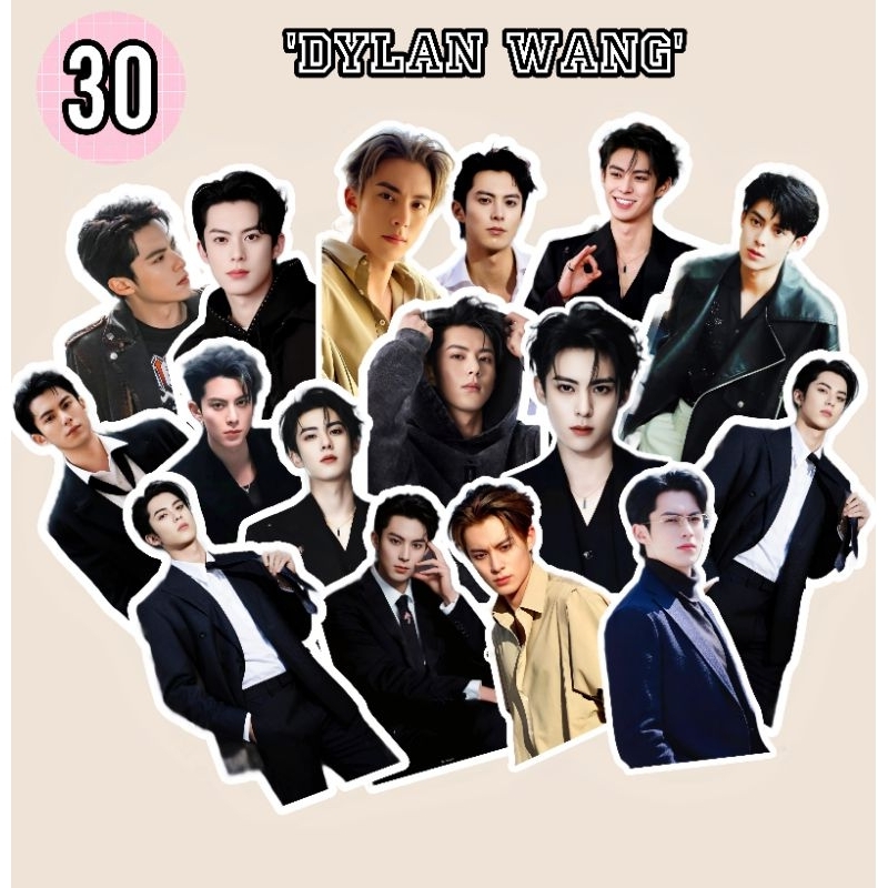 

(NEW!)STICKER DYLAN WANG(30PCS)/AKTOR CHINA/DRACHIN/STIKER/MURAH