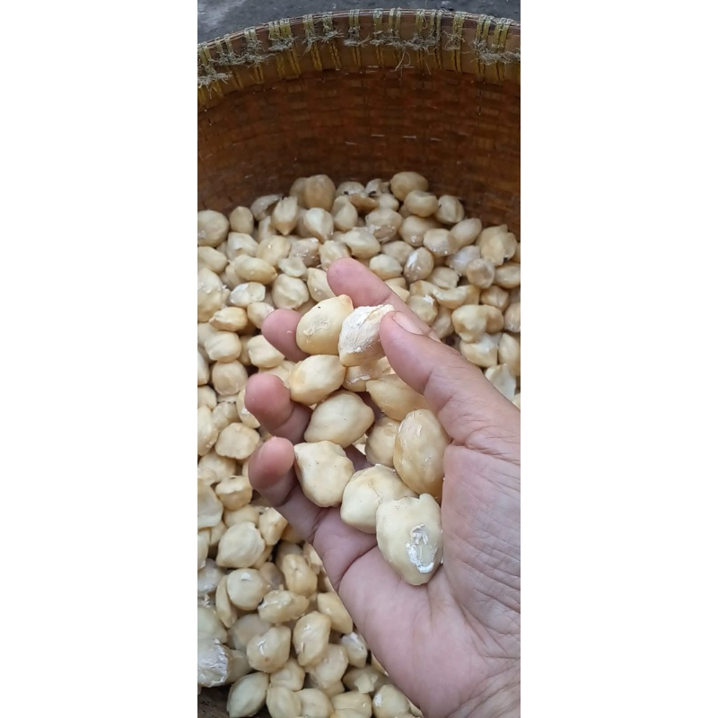 

KEMIRI KUPAS KEMASAN (200gr)