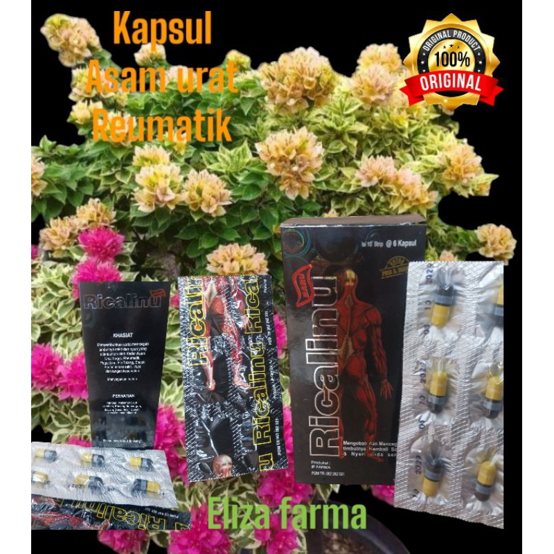 

RicaRica kapsul Linu is60kpsl ori