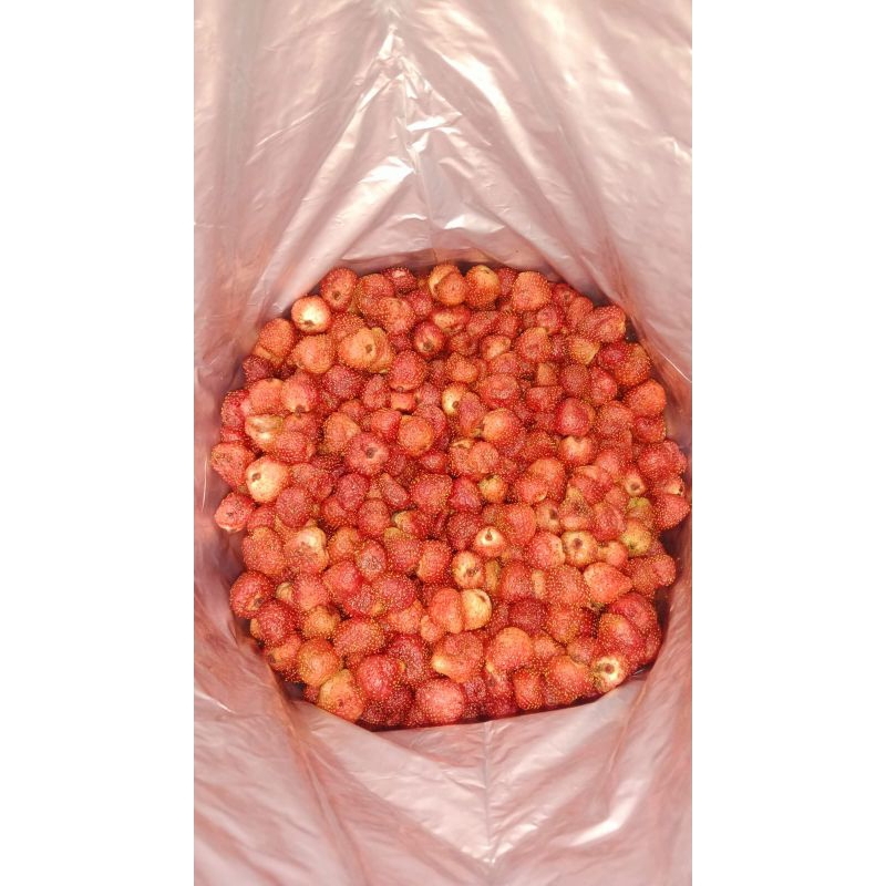 

keripikstrawberry