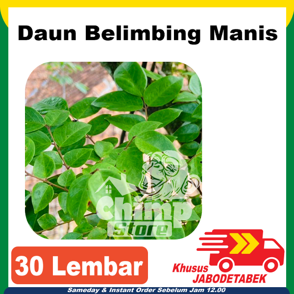 

Daun Belimbing Manis 30 Lembar Obat Herbal