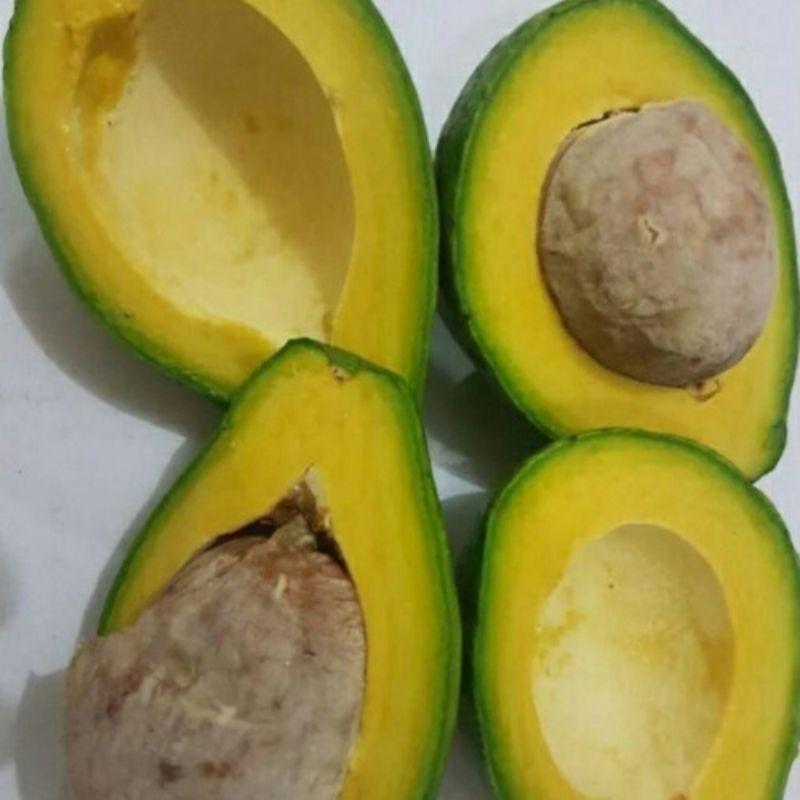 

Alpukat Mentega Mateng 1kg isi 3-4